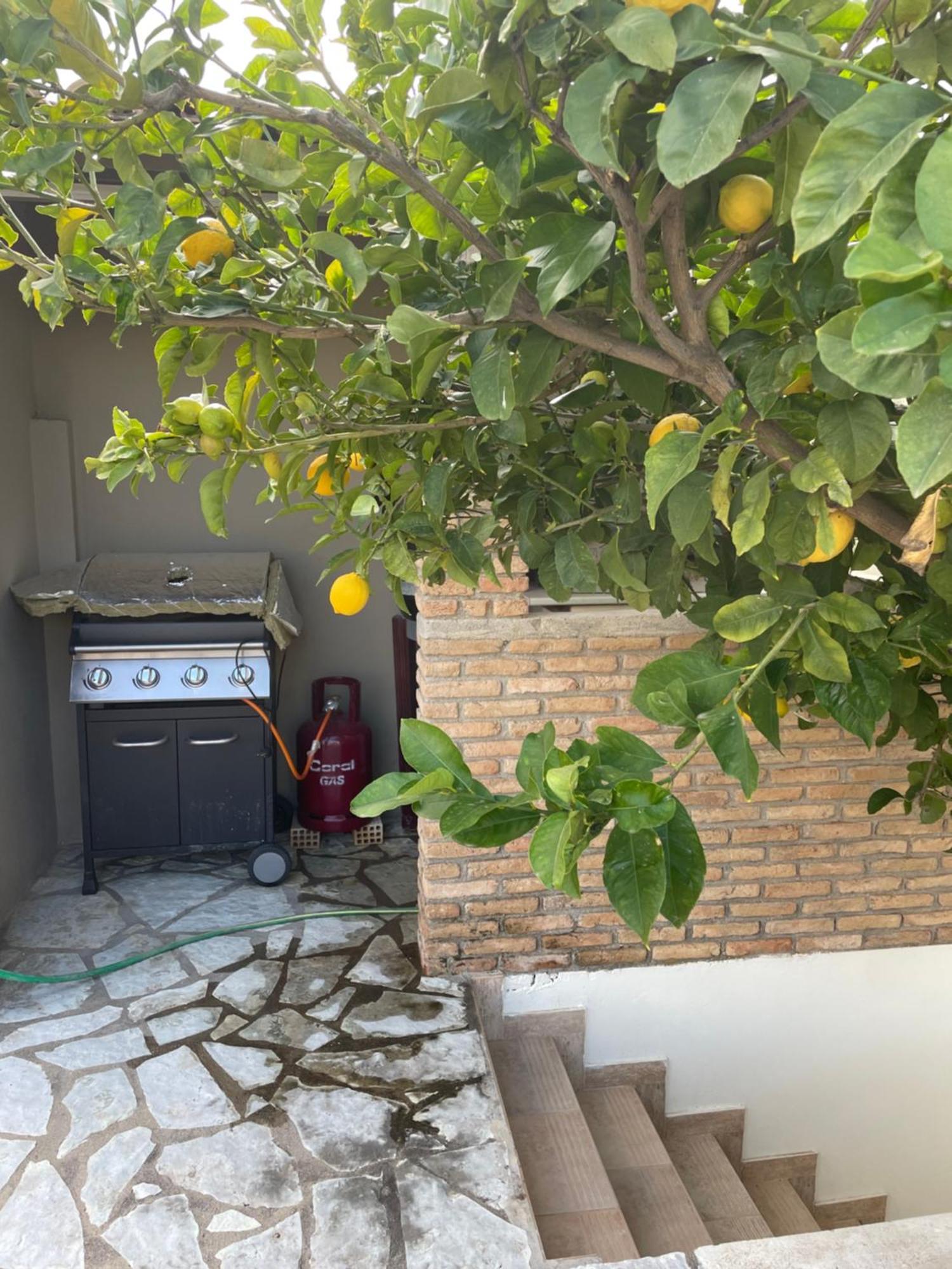 D&M Studio Ριο Πατρα Patras Exterior foto